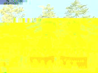 cff4fade384dc800ec6159e88892548